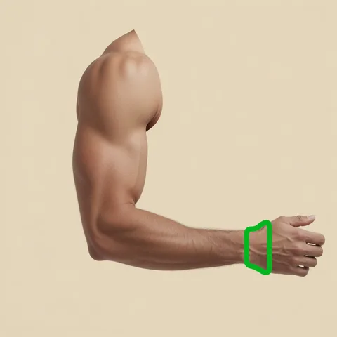 wrist