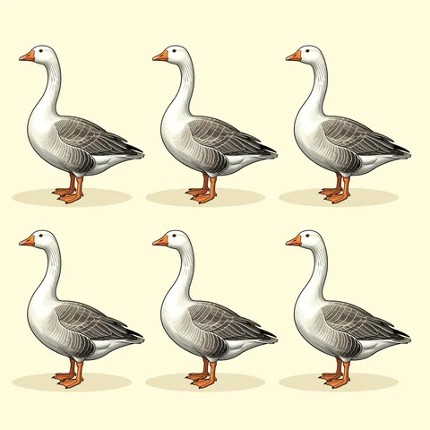 goose