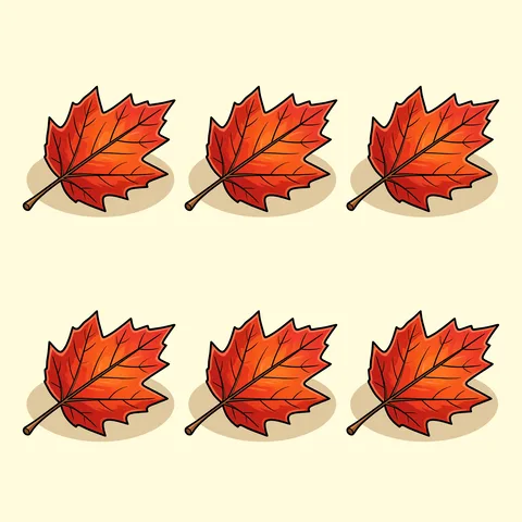 leaf