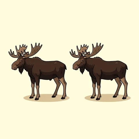 moose