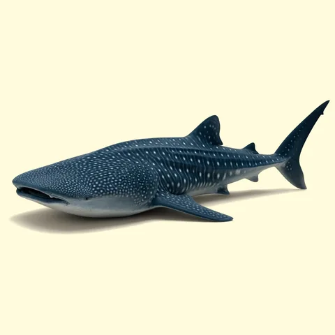 whale shark