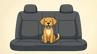 the back seat