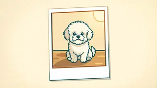 the little white dog
