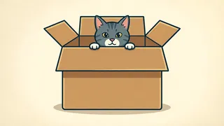 hides in a box