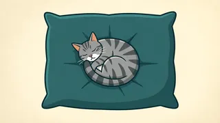 sleeps on the couch