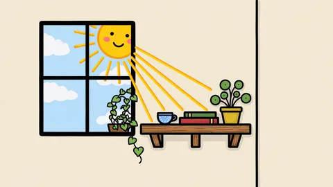 sunny